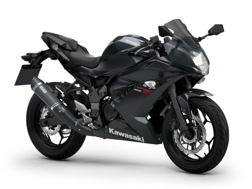 Fotografía Ninja 125 Performance