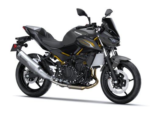 Fotografía Z 500 Performance (Akra)