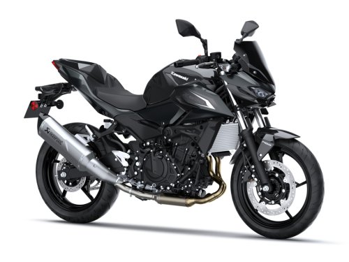 Fotografía Z 500 Performance (Akra)