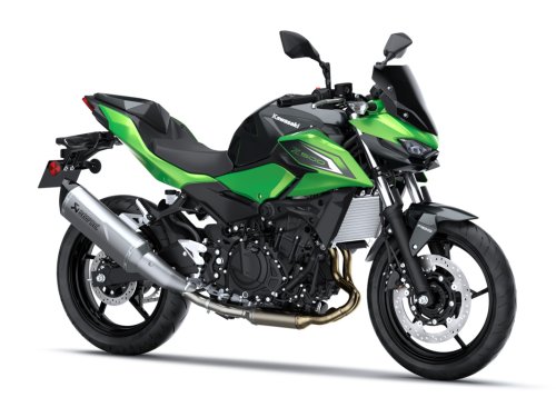 Fotografía Z 500 Performance (Akra)