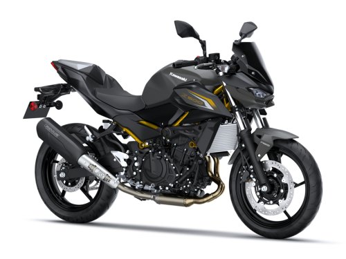 Fotografía Z 500 Performance (Remus)