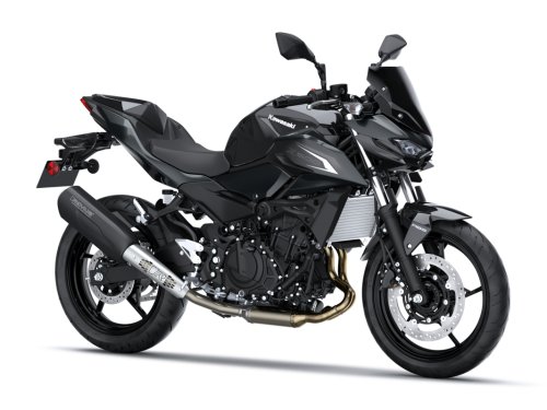 Fotografía Z 500 Performance (Remus)