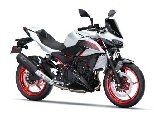 Fotografía Z 500 SE Performance (Remus)