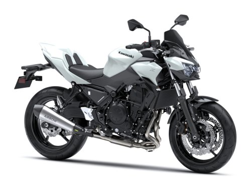 Fotografía Z 650 Performance (Arrow)