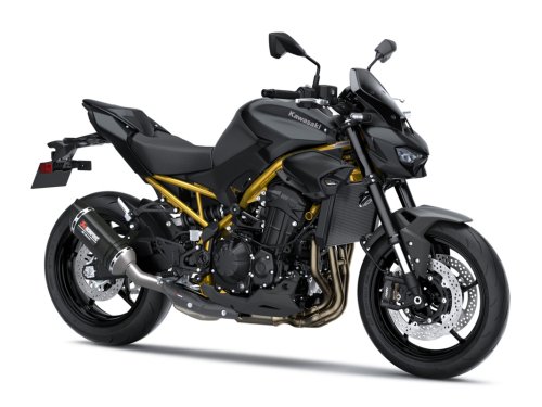 Fotografía Z 900 Performance
